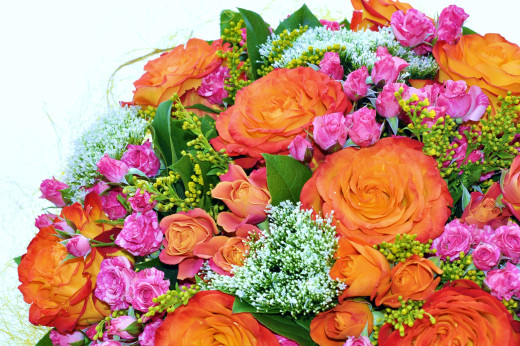 827097 (a): :2500x1660